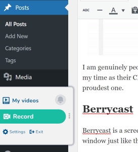 Berrycast recorder popout